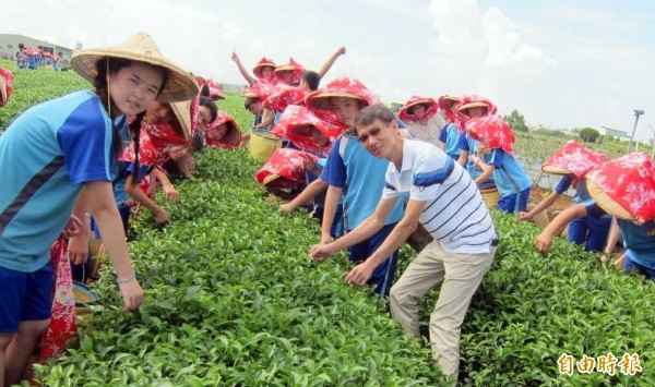 南投縣名間鄉弓鞋國小主任陳錫港（右）帶領學生體驗採茶文化情形。（資料照，記者謝介裕攝）