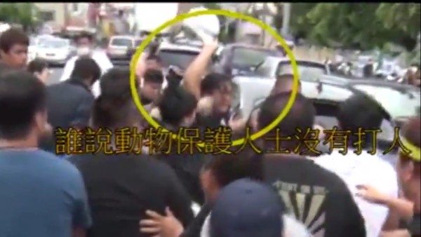 抓到了！動保黑衣男也有打人？