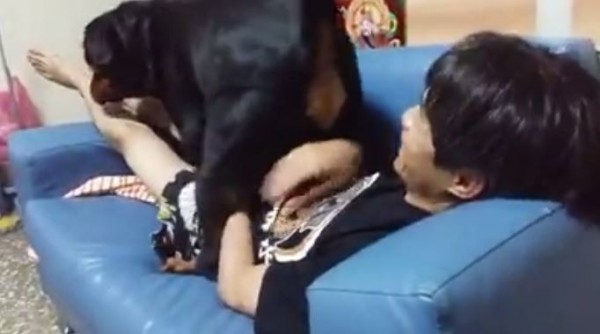 人与狗做爱