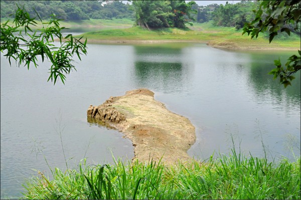 嘉義蘭潭水庫因枯水期、水量銳減，潭邊陸地出現女王頭地形。（記者王善嬿攝）