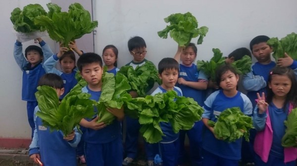 土牛國小學童在校園裡學種菜，種出來的蔬菜青翠碩大。（台中市環保局提供）