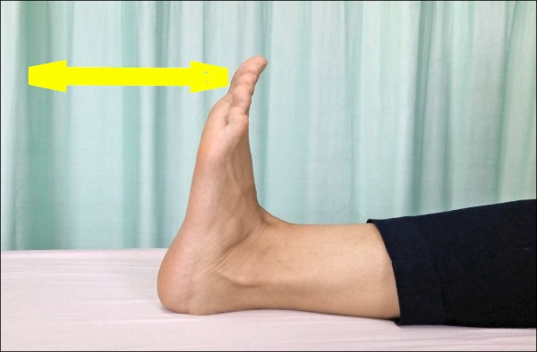 骨盆骨折床上運動加速復健 即時新聞 自由健康網