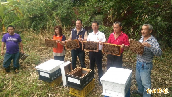 魚池鄉公所由鄉長陳錦倫（右3）帶頭，到頭社盆地施放10萬隻蜜蜂，盼藉此提升頭社絲瓜授粉率與產量。（記者劉濱銓攝）