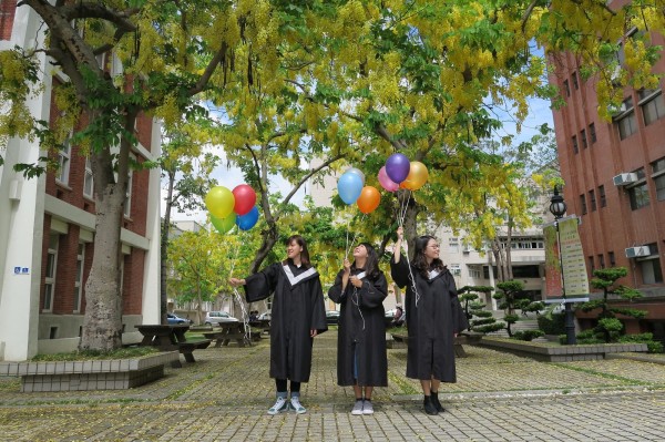 台南大學校園內的阿勃勒盛開，是畢業生最愛的拍照景點。（台南大學提供）