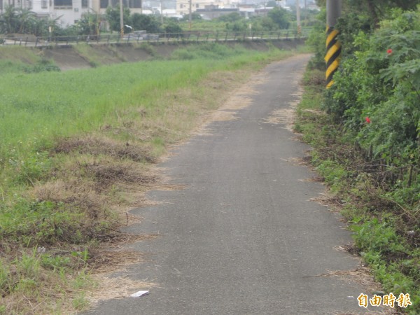 新竹縣竹北市豆子埔溪南岸並無欄杆，在第二河川局的補助下，市公所預計在年底前施作紐澤西護欄，以提升人車通行安全。（記者廖雪茹攝）