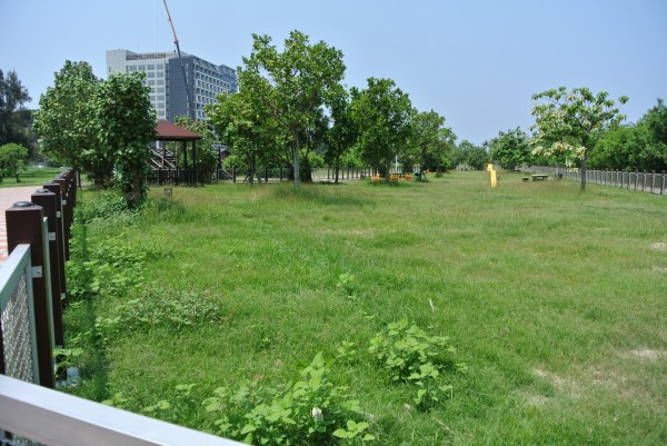 安平的寵物運動公園是目前台南市的唯一一個寵物公園。（呂維胤提供）