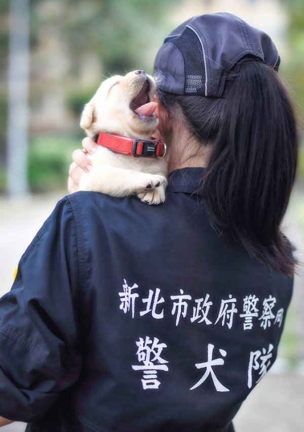 女警抱著小警犬的照片，背影美到讓網友紛紛跪求正面照。（圖擷自「NPA署長室」臉書）
