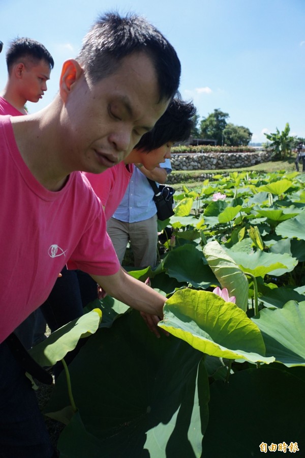 惠明視障者教養院院生到中社花市賞荷。（記者歐素美攝）