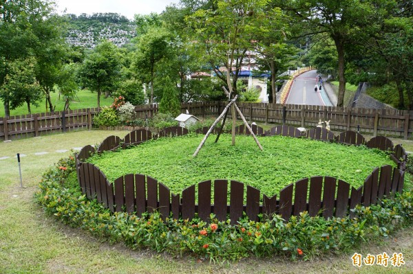 毛小孩身後事北市殯葬處提供免費樹葬區 生活 自由時報電子報