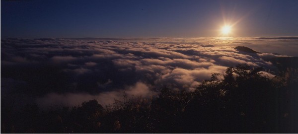 太平山的日出向來以搭配雲海層層堆疊的景致聞名。（圖由羅東林管處提供）