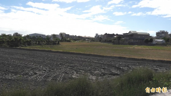 台東市志航路兩側現狀為農地，將辦市地重劃變成住宅區。（記者黃明堂攝）