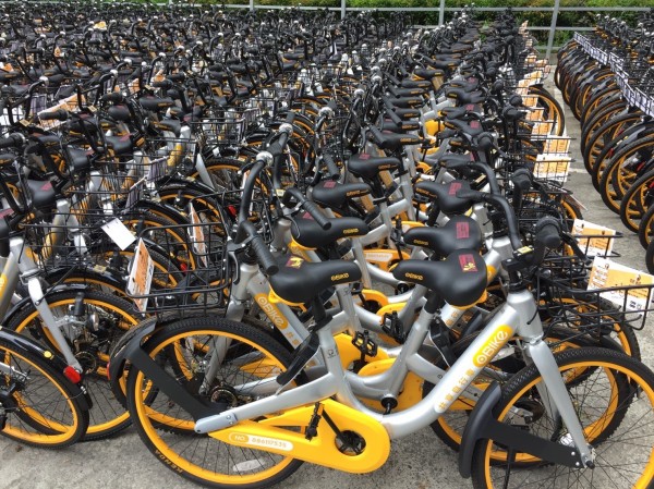 新興無站式公共自行車oBike在全台各地引發違規停車亂象，新北市率先開鍘拖吊，至今天上午違停車輛達4580輛，業者本週起陸續領回。（交通局提供）