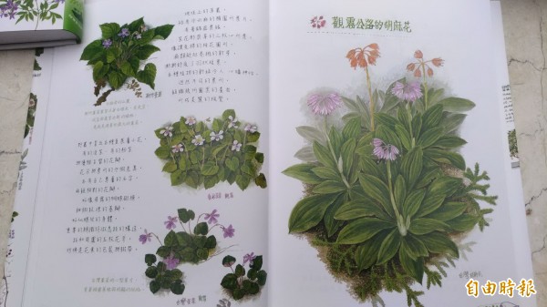 林麗琪創作的「野花散步」，內容精美又細膩，有如珍貴的植物圖鑑。（記者廖淑玲攝）