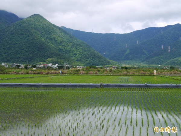 行政院院會今天正式拍板「有機農業促進法草案」，依此法包含學校、軍隊等主管機關都必須要先選用有機農產品。（資料照，記者簡惠茹攝）