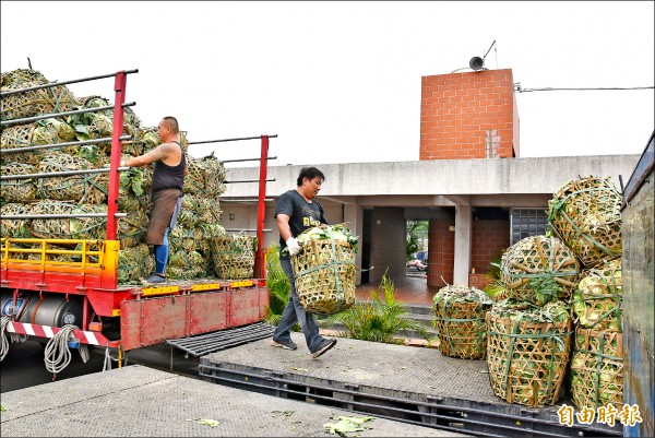 搶收高麗菜到貨量爆增，西螺果菜市場昨天高麗菜到貨量約二百六十公噸。（記者黃淑莉攝）