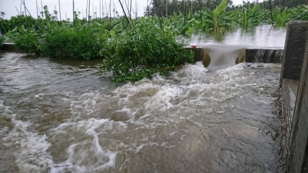 林邊淹大水原因從清林公園溢流出來。（圖:永樂村長蔡玉心提供）