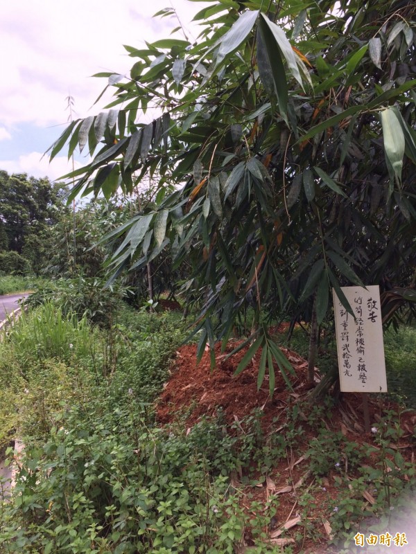 埔里鎮、魚池鄉交界產業道路旁有大片筍園，農民被偷怕了，特別立牌敬告路過者勿伸第三支手。（記者佟振國攝）