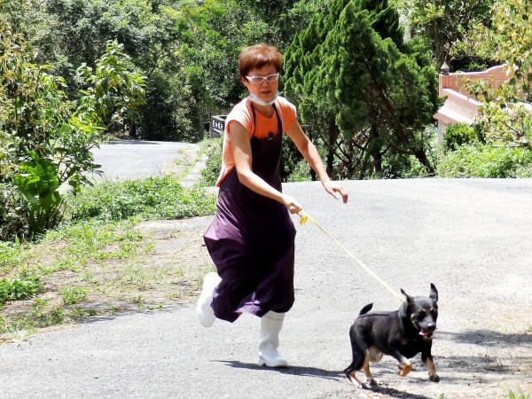 惡意棄養犬隻，最重可處15萬元罰鍰。（基隆動保所提供）