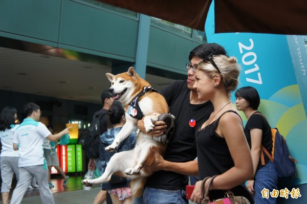 柴犬聯盟下午快閃小巨蛋，鼓勵成員多找外國朋友合照。（記者黃建豪攝）