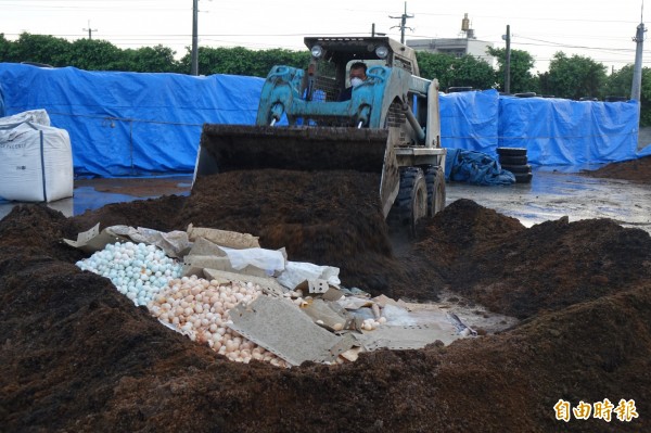 彰化縣連成牧場封存的8000顆芬普尼毒雞蛋，昨天採用「堆肥法」銷毀，直把雞蛋倒在堆肥基材，再出動小山貓覆蓋堆肥。（記者劉曉欣攝）