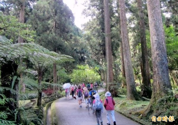 南投縣鹿谷鄉溪頭風景區，經常可見民眾結伴前往避暑遊玩。（記者謝介裕攝）