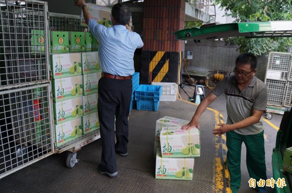 斗六文旦上市了，雲林郵局提供「斗六文旦包裹專案優惠」。（記者詹士弘攝）