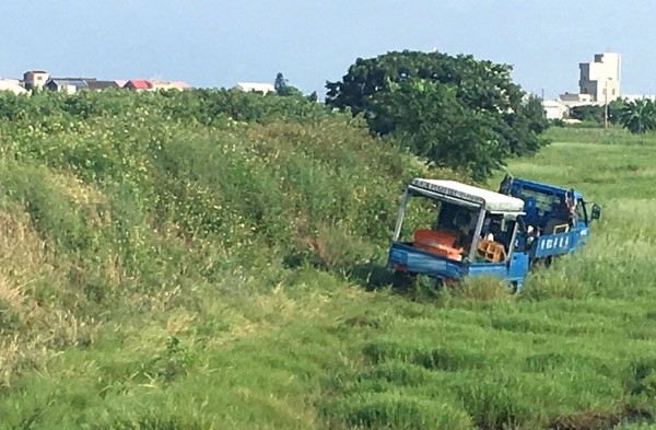 兩台貨車接連陷入沼澤，無法動彈。（記者林宜樟翻攝）