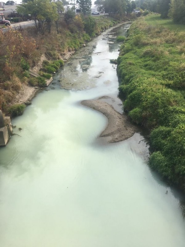 美國印第安納州一處河川，被附近食品加工工廠流出約1.1噸的牛奶，染成乳白色。（圖取自Tipton County Emergency Management臉書）