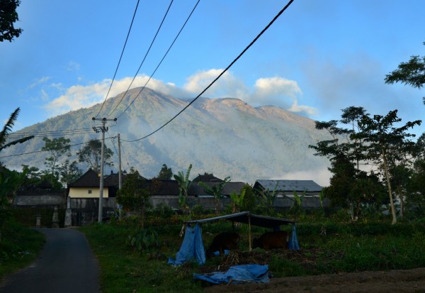 阿貢火山近日活動頻繁，印尼政府擔心它恐將再次噴發。（法新社）