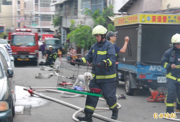 消防人員趕緊把困在屋內，已嚇得驚慌失措的狗兒移出戶外。（記者陳冠備攝）