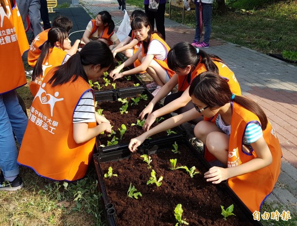 學生建菜園種菜,種下菜苗。(記者蔡淑媛攝) 學生建菜園種菜,種下菜苗。(記者蔡淑媛攝)