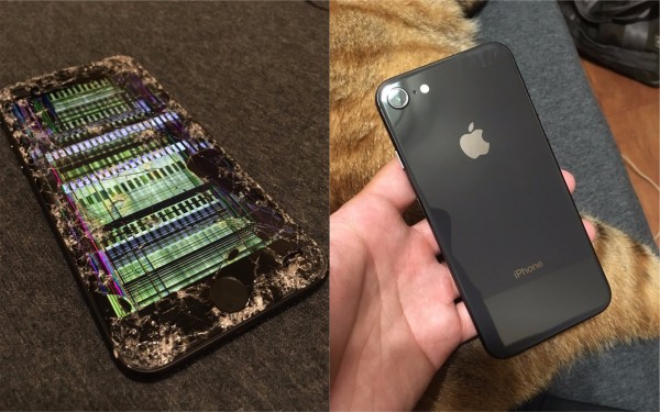 有網友PO出iPhone 8摔機的照片，螢幕碎裂的模樣慘不忍睹。（圖擷取自PTT）