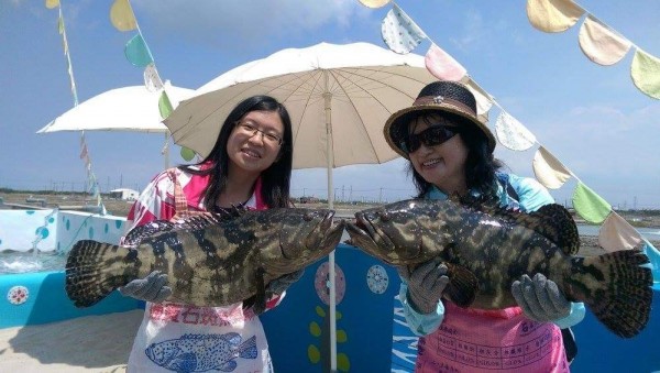 永安區永新社區抱石斑魚最受歡迎。（記者陳文嬋翻攝）