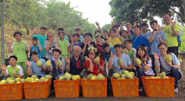 國道3號關西服務區同仁們日前到關西農場幫助農民採收文旦，近日義賣這批文旦，所得將全部作為東光國小的弱勢學童獎助學金。（圖由關西服務區提供）