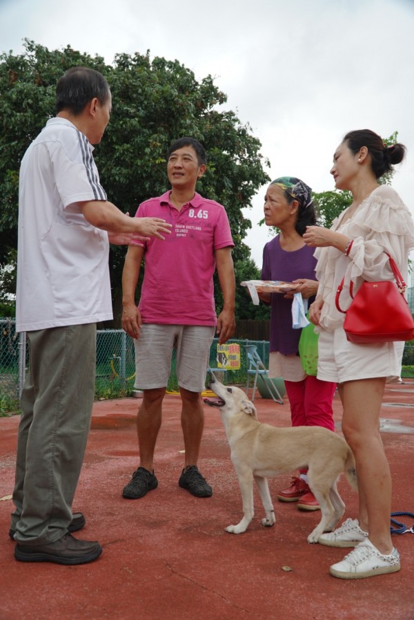 藝人于冠華的愛犬莉妹兒mia近日過世，在家人陪同下到板橋動物之家參觀，看到1隻狗和莉妹兒mia的身影相似，當下決定認養。（新北市動保處提供）