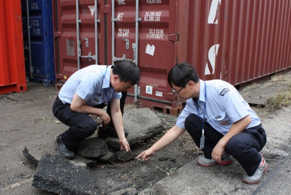 南韓南部城市釜山，在港口驚現火蟻。（圖擷自《韓聯社》）