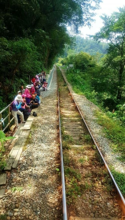 遊客占據鐵道，連列車都得停下來將其勸離才得以續駛。（擷取自網友臉書）