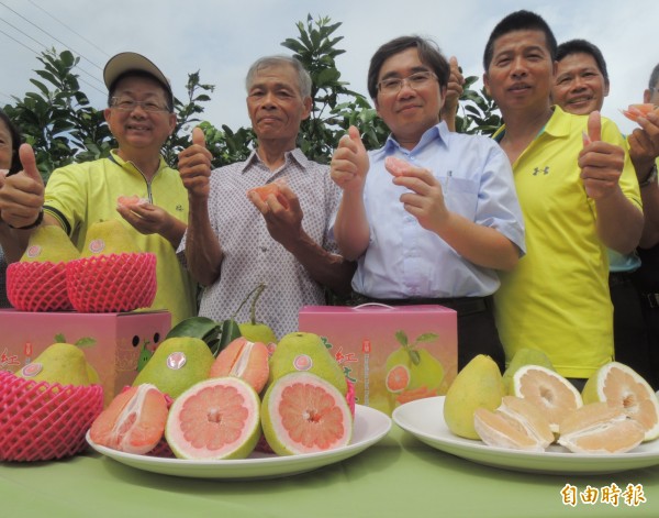 冬山紅文旦屬當令在地水果。（記者江志雄攝）