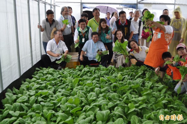 桃園市長鄭文燦（前排左二）前往龍潭肯納園的菜園體驗菜農生活。（記者周敏鴻攝）