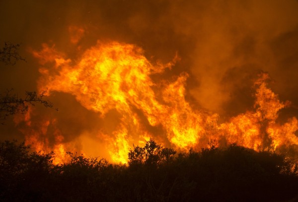 美國加州發生森林大火，當地的葡萄酒與大麻產地損失慘重。（資料圖，美聯社）