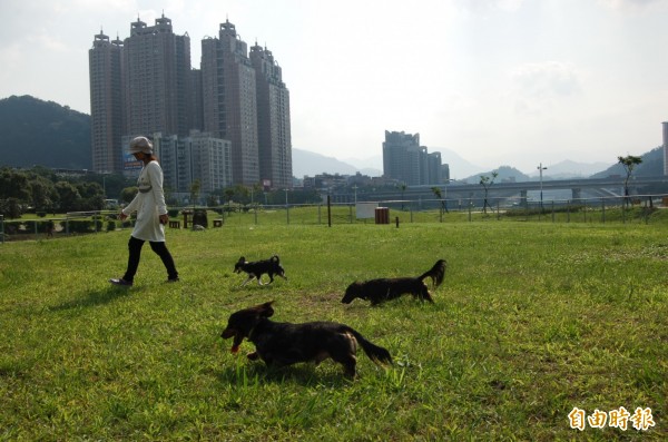 非法動物火化場拒繳罰鍰寵物靈車遭查封 彰化縣 自由時報電子報