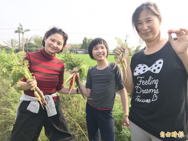 美濃型農胡惠玲（右）種植有機彩色蘿蔔，田間發現保育白鼻心、貓頭鷹。（記者陳文嬋攝）