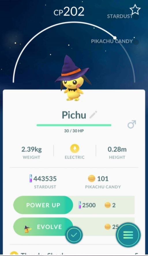 節日限定的萬聖帽皮丘。(翻攝自REDDIT) 節日限定的萬聖帽皮丘。(翻攝自REDDIT)