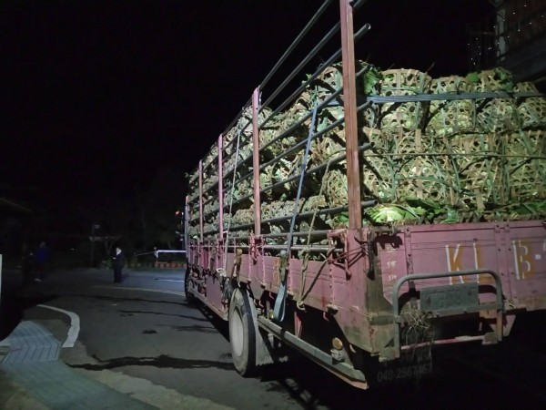 運滿整車高麗菜的卡車被擋在下山路上，無法通過。（記者鄭名翔翻攝）