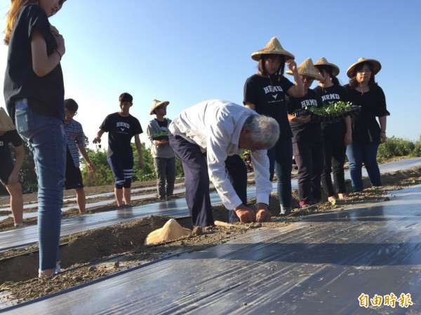 三崁里里長紀良章（左二）下田示範栽植栗南瓜。（記者張軒哲攝）