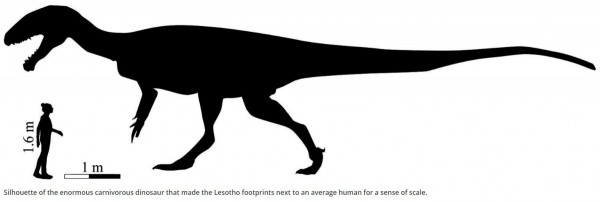 非洲南部發現侏儸紀初期巨大肉食性恐龍 國際 自由時報電子報
