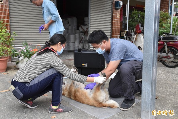 古坑鄉莊姓民眾飼養的小狗在自家門口疑遭人毒死。（記者黃淑莉攝）