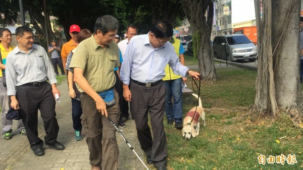 萌犬出任務！褐根病入侵屏市瑞光路林蔭大道，請來「偵測犬」協助嗅聞樹木是否染病。（記者羅欣貞攝）