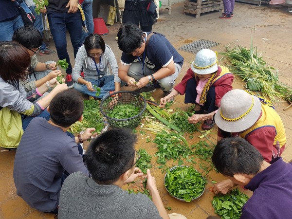 參與部落廚房小旅行的遊客，跟著當地族人一起處理時令野菜。（花蓮農改場提供）