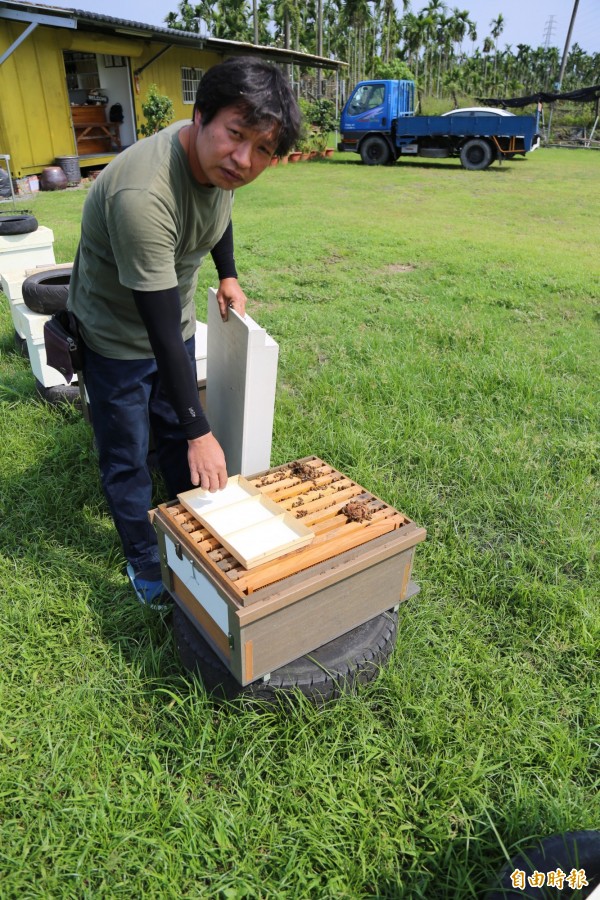 務農的林文榮說，他在有機轉型田區上飼養蜜蜂，除了賣蜂，也宣傳友愛環境的理念。（記者邱芷柔攝）